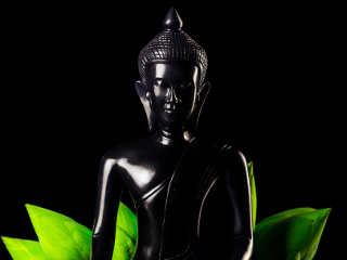 black buddha