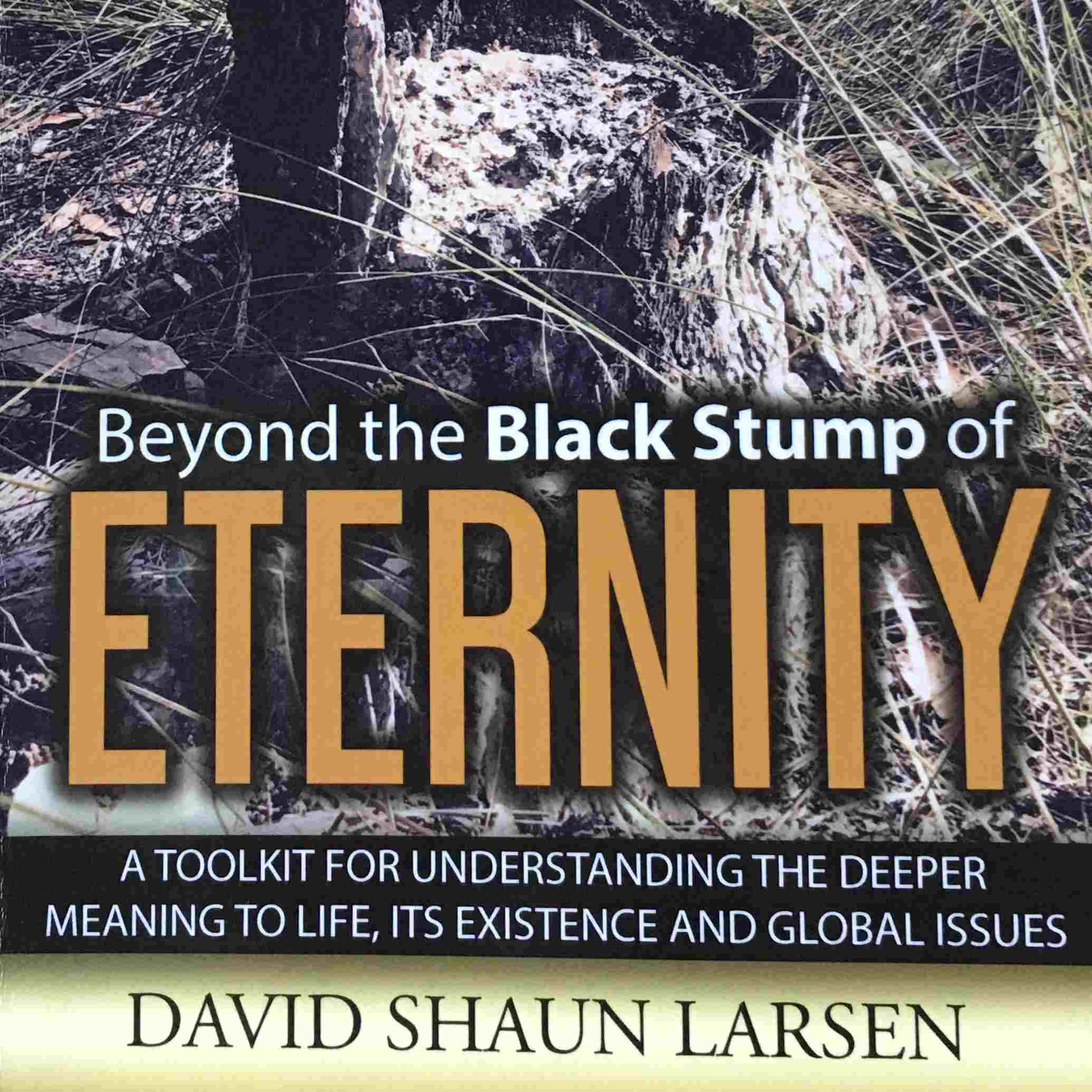 Book cover: 'Beyond the Black Stump of Eternity' by David Shaun Larsen